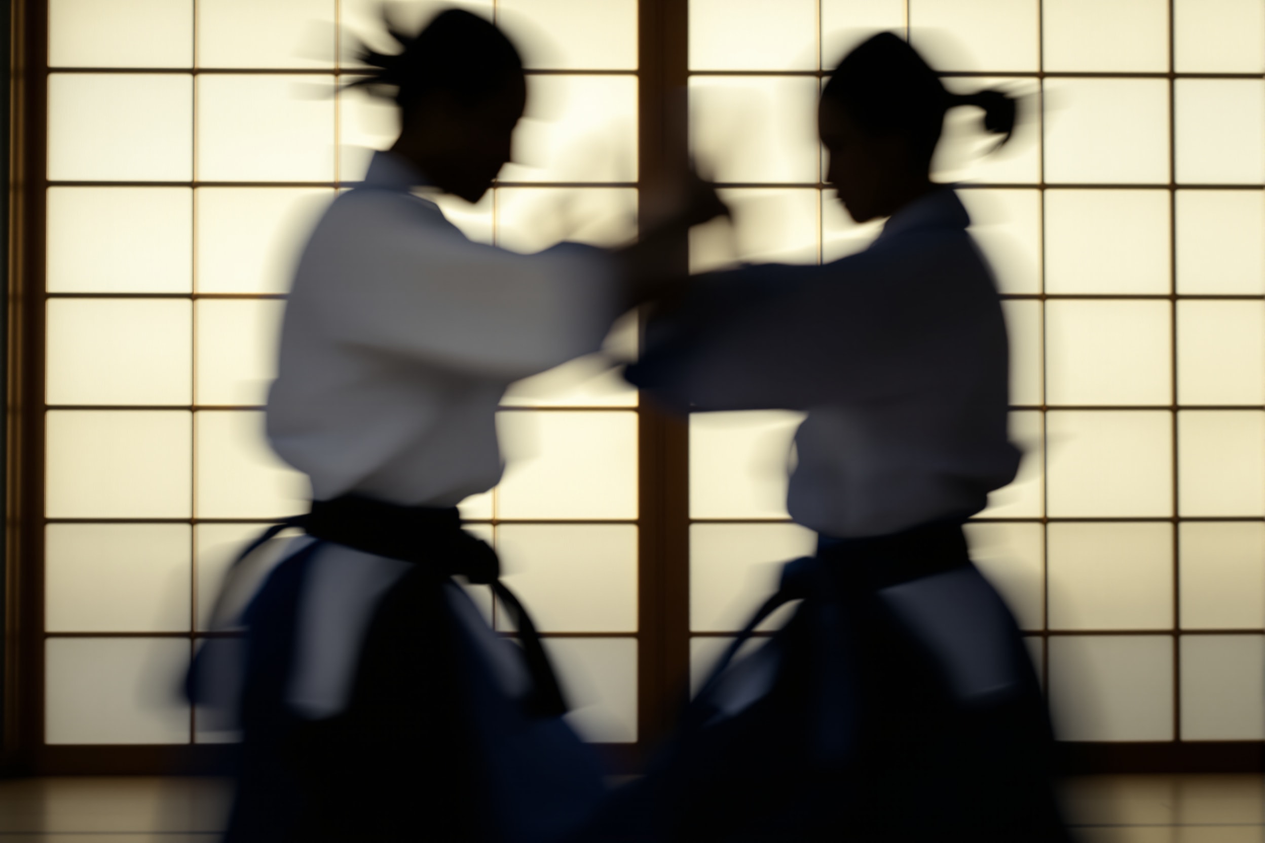 Two aikido practitioners in white gi and indigo hakama blending in a circular movement, shown in soft silhouette